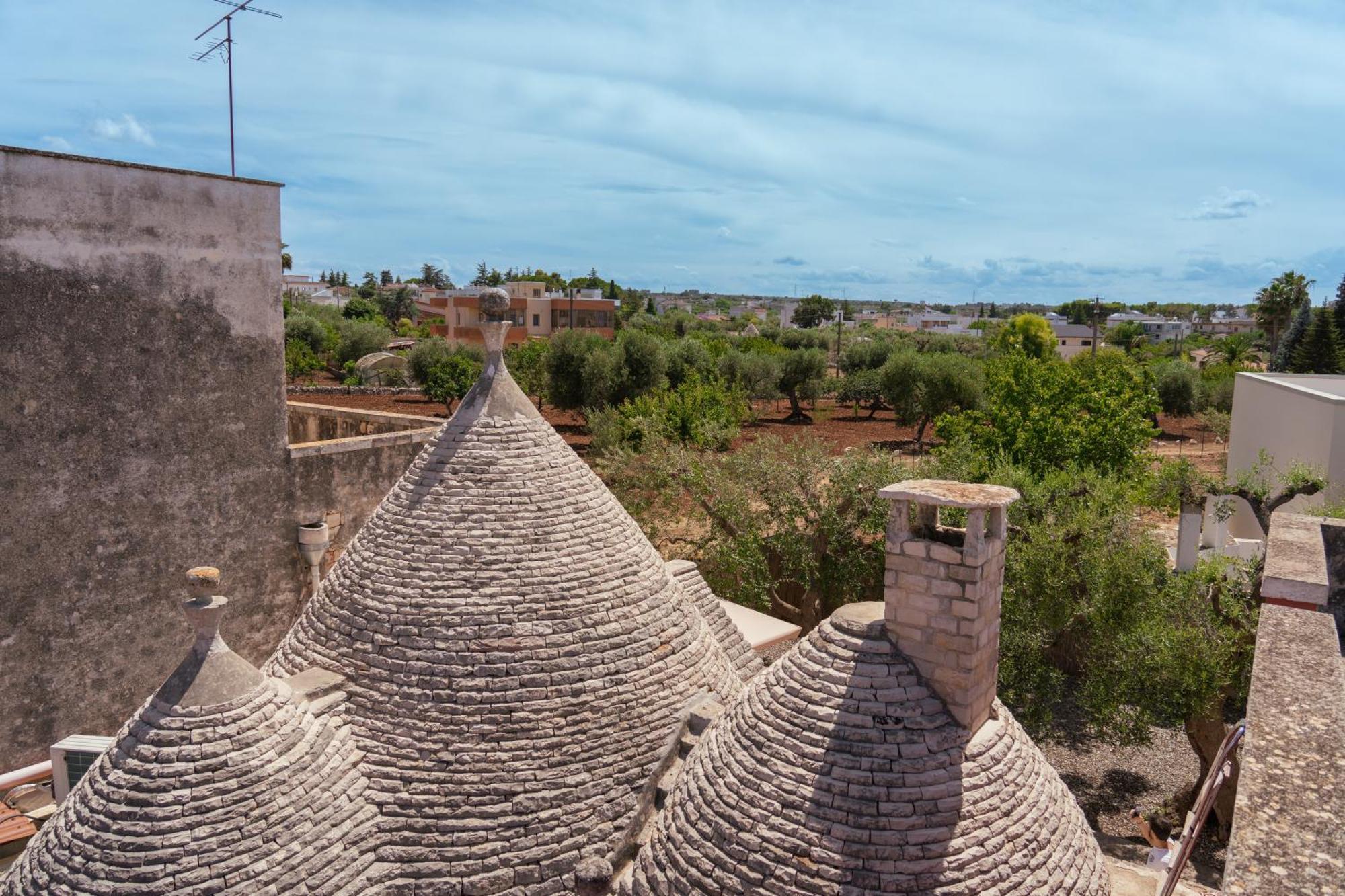 Loli Trulli Superior Villa - Free Parking Castellana Grotte Eksteriør billede